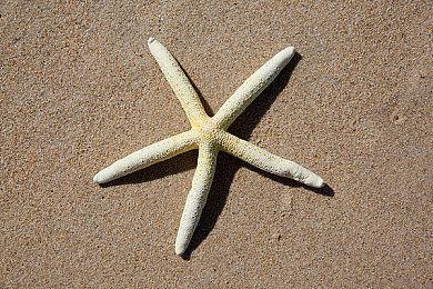 另类RPG《活侠传》限时试玩demo上线 发售日期待定